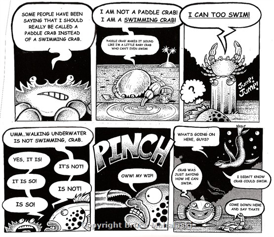 58 - Cod and Crab E